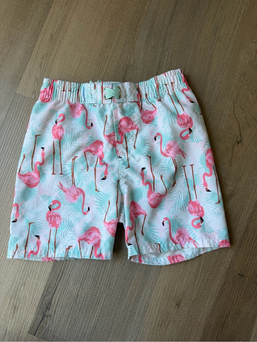 Rugged Butts Pink Flamingo Print Swim Shorts - Aqua Background